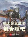 骑士会点魔法,很合理吧